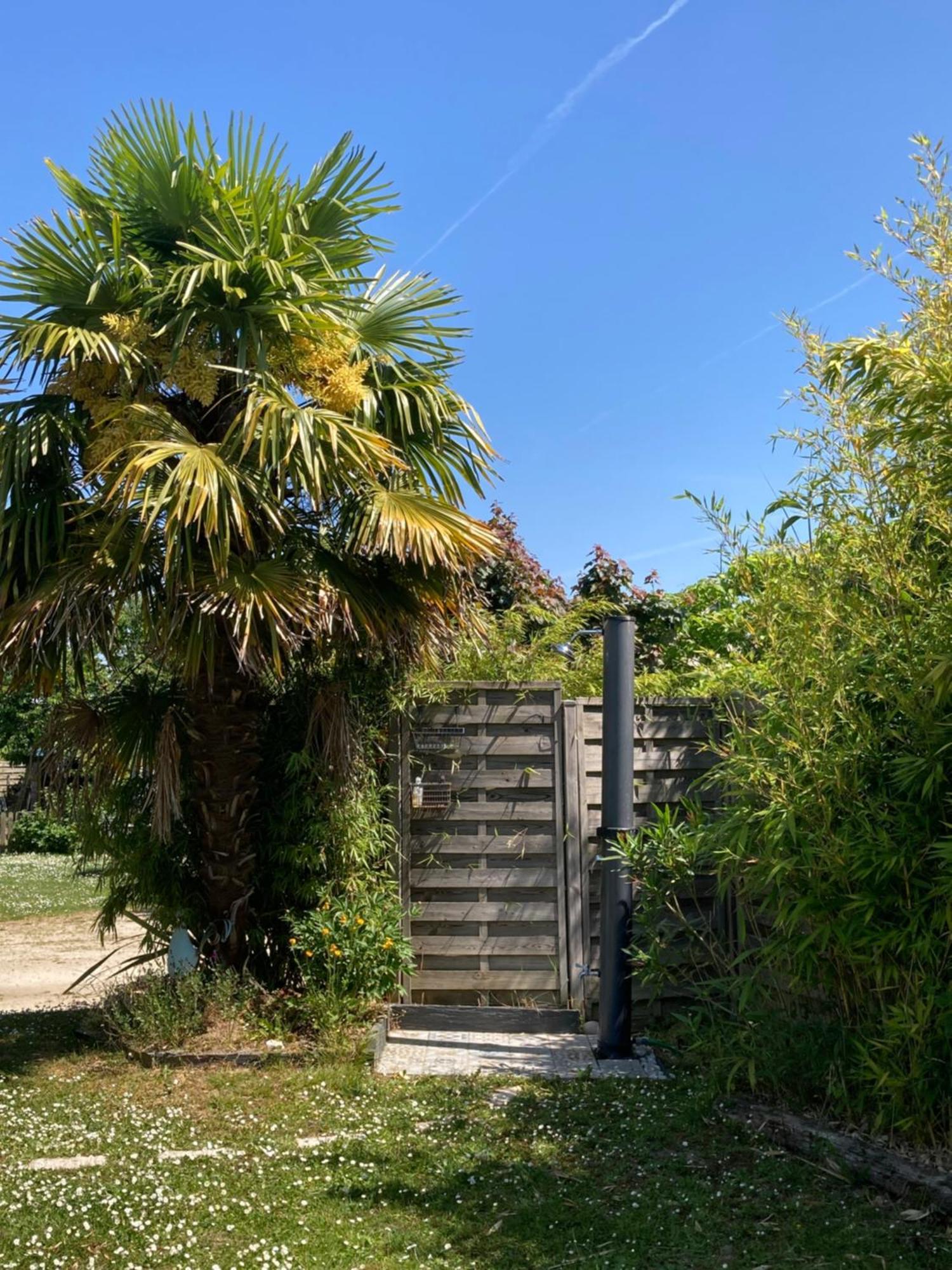 Le Chemin De La Loire Hotel Amboise Buitenkant foto